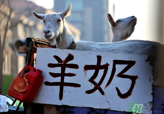鮮羊奶怎么保存？鮮羊奶放冰箱能放多久？