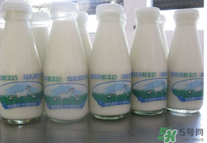 鮮羊奶可以直接喝嗎？鮮羊奶怎么喝最好？