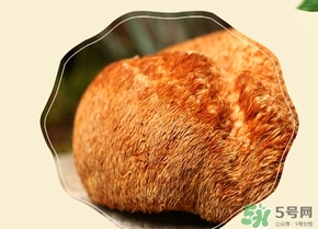 猴頭菇怎么吃？猴頭菇的功效與作用