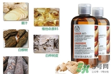 英國(guó)the Body Shop生姜洗發(fā)水怎么樣？the Body Shop生姜洗發(fā)水功效