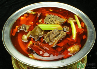 狗肉不能和什么一起吃？狗肉和什么相克？