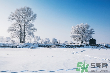 立冬適合喝什么湯？立冬養(yǎng)生喝什么湯最好？