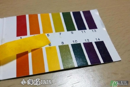 賽貝格哪里買？賽貝格哪里有專柜？
