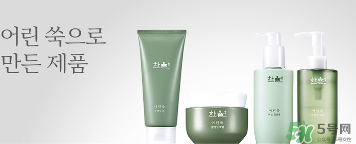 韓律艾草洗面奶多少錢？韓律艾草洗面奶專柜價格