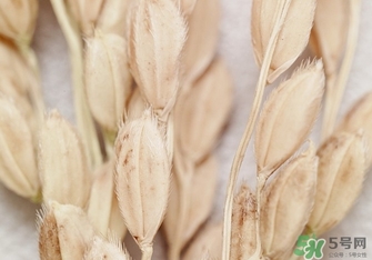 韓律適合什么膚質(zhì)？韓律適合敏感肌膚嗎？