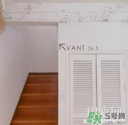 vant氣墊粉底霜怎么樣？vant36.5粉霜粉膏好用嗎？