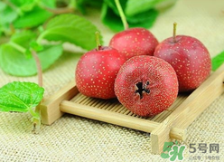 新鮮山楂什么時候上市？新鮮山楂什么時候成熟？