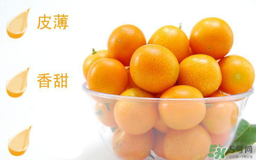 金桔可以帶皮吃嗎？金桔皮能吃嗎？