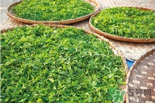 冬天可以喝綠茶嗎？冬天喝綠茶好還是紅茶好？