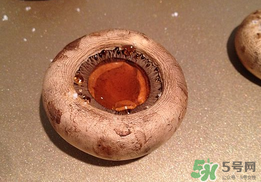口菇變黑還能吃嗎？口菇的營養(yǎng)價(jià)值
