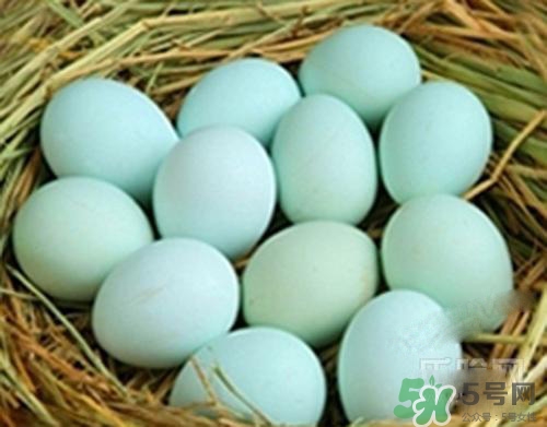 綠皮雞蛋是怎么回事？綠皮雞蛋的營養(yǎng)價(jià)值