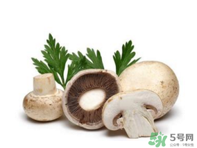 草菇怎么保存？新鮮草菇怎么保存？