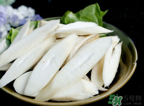 雞腿菇長白毛能吃嗎？雞腿菇怎么做好吃？