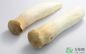 雞腿菇長白毛能吃嗎？雞腿菇怎么做好吃？