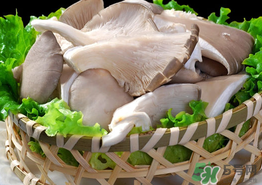 蘑菇可以放冰箱嗎？蘑菇放冰箱長毛了能吃嘛？
