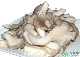 平菇怎么保存？平菇能放幾天？