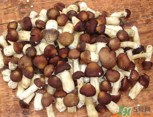 草菇可以放冰箱嗎？草菇放冰箱還能吃嗎？