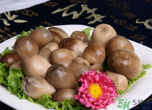 草菇可以放冰箱嗎？草菇放冰箱還能吃嗎？