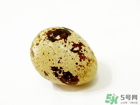 鵪鶉蛋不能和什么一起吃？鵪鶉蛋不能與什么同食？