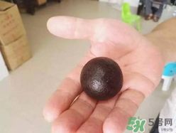 羊?qū)毷鞘裁?？羊?qū)殲槭裁催@么貴？