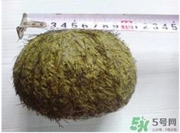 羊?qū)毷鞘裁?？羊?qū)殲槭裁催@么貴？