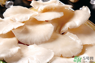 平菇怎么洗？平菇怎么洗才干凈？