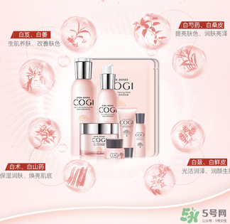 高姿大白水一套多少錢？高姿大白水多少錢一瓶？