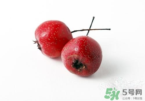 孕婦可以吃山楂嗎？孕婦吃山楂好嗎？