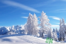 下雪天會(huì)打雷嗎？下雪天為什么會(huì)大雷？