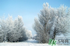 下雪天會(huì)打雷嗎？下雪天為什么會(huì)大雷？