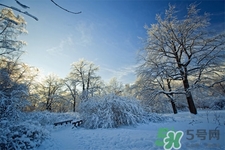 下雪天要打傘嗎？下雪天到底要不要打傘？