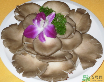 平菇是發(fā)物嗎？平菇是不是發(fā)物？
