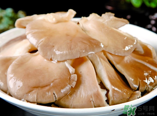 平菇是發(fā)物嗎？平菇是不是發(fā)物？