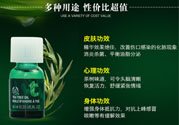 the body shop茶樹精油怎么用？美體小鋪茶樹精油怎么打開