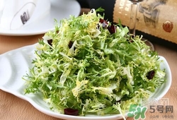 苦菊可以減肥嗎？苦菊怎么吃可以減肥？