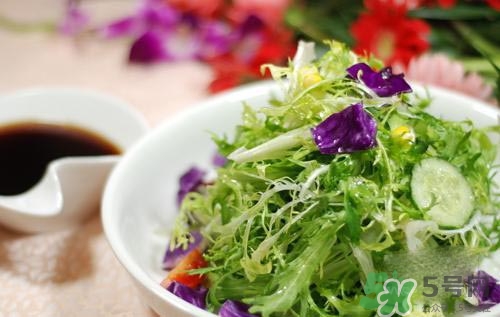苦菊可以減肥嗎？苦菊怎么吃可以減肥？