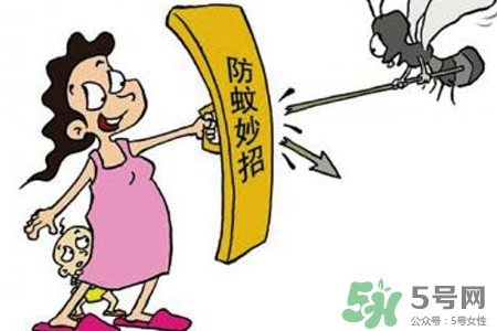 冬天為什么會有蚊子？冬天家里有蚊子怎么辦？