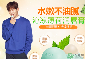 eos潤唇球多少錢？eos唇膏正版價格