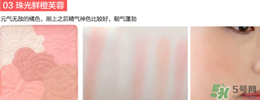 canmake花瓣腮紅珠光還是啞光好？canmake腮紅珠光好看還是啞光？