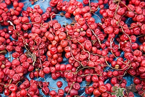 五味子茶韓國怎么喝？五味子茶的五種味道代表什么？
