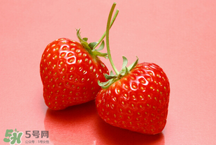 冬天有草莓嗎？冬天的草莓能吃嗎？