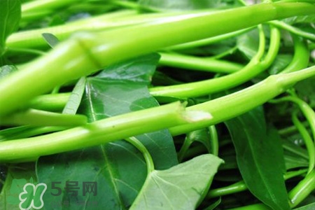 冬天可以吃空心菜嗎？冬天排毒多吃空心菜