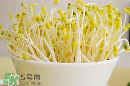 冬天可以發(fā)豆芽嗎？冬天怎樣發(fā)黃豆芽？
