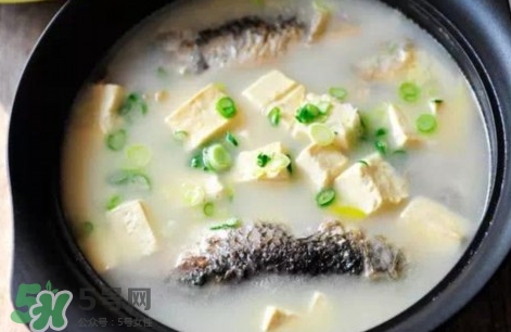 鯽魚豆腐湯的營(yíng)養(yǎng)價(jià)值 鯽魚豆腐湯的功效與作用及做法