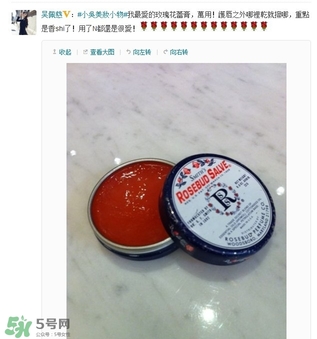 史密斯花蕾膏怎么用？史密斯花蕾膏使用方法