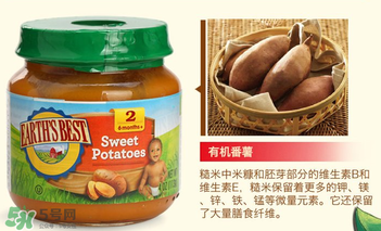 輔食泥哪個(gè)牌子好？輔食泥排行榜
