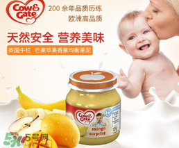 輔食泥哪個(gè)牌子好？輔食泥排行榜