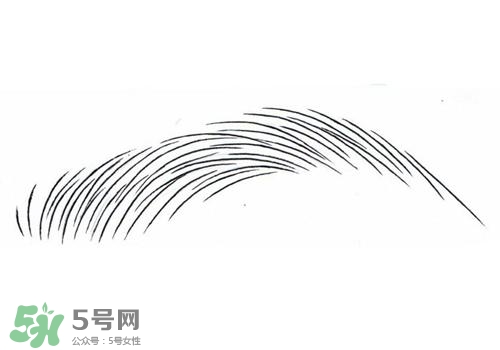 掉眉毛是怎么回事？掉眉毛還會(huì)長(zhǎng)嗎？
