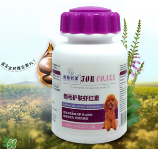 泰迪吃蝦紅素好嗎？蝦紅素的功效與作用