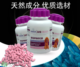 泰迪吃蝦紅素好嗎？蝦紅素的功效與作用